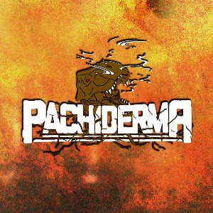 Immagine del profilo di Pachiderma